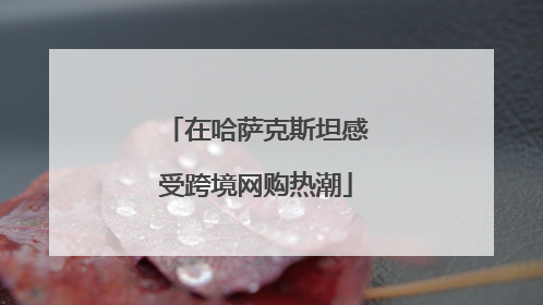 在哈萨克斯坦感受跨境网购热潮