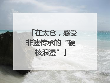 在太仓，感受非遗传承的“硬核浪漫”