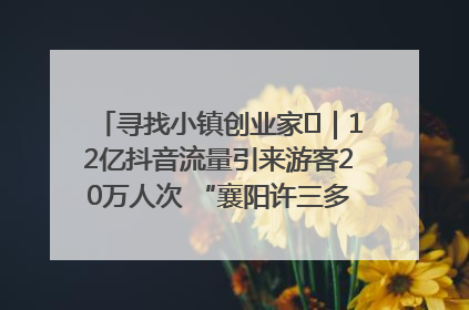 寻找小镇创业家㊱｜12亿抖音流量引来游客20万人次 “襄阳许三多”爆改家乡打造网红村