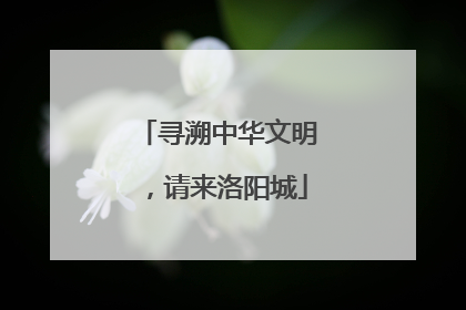 寻溯中华文明，请来洛阳城