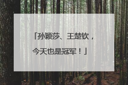 孙颖莎、王楚钦，今天也是冠军！