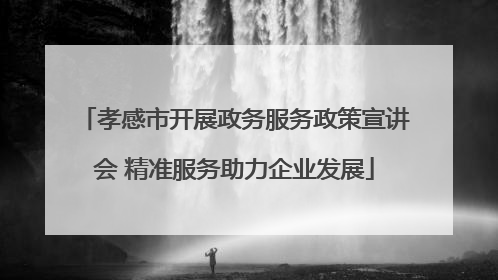 孝感市开展政务服务政策宣讲会 精准服务助力企业发展