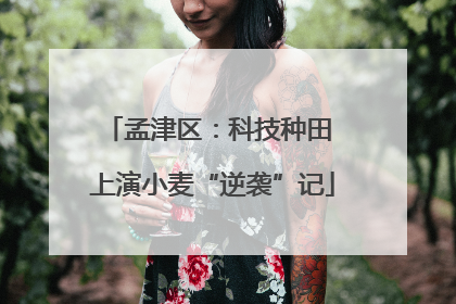 孟津区：科技种田 上演小麦“逆袭”记