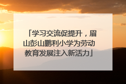 学习交流促提升，眉山彭山鹏利小学为劳动教育发展注入新活力