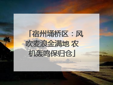 宿州埇桥区：风吹麦浪金满地 农机轰鸣保归仓
