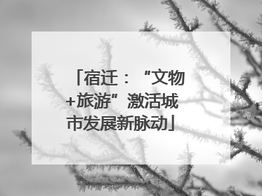 宿迁：“文物+旅游”激活城市发展新脉动