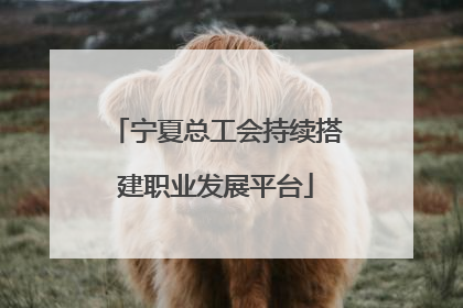 宁夏总工会持续搭建职业发展平台