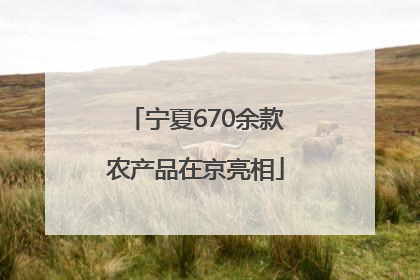 宁夏670余款农产品在京亮相