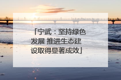 宁武：坚持绿色发展 推进生态建设取得显著成效