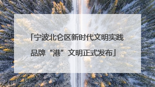 宁波北仑区新时代文明实践品牌“港”文明正式发布