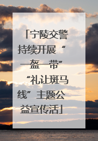 宁陵交警持续开展“一盔一带”“礼让斑马线”主题公益宣传活