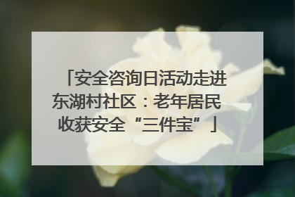 安全咨询日活动走进东湖村社区：老年居民收获安全“三件宝”