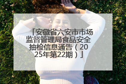 安徽省六安市市场监督管理局食品安全抽检信息通告（2025年第22期）
