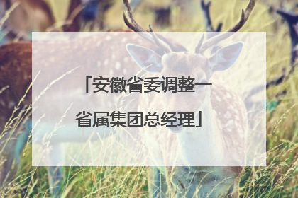 安徽省委调整一省属集团总经理