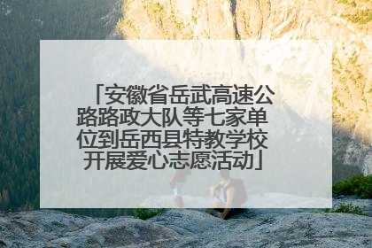 安徽省岳武高速公路路政大队等七家单位到岳西县特教学校开展爱心志愿活动