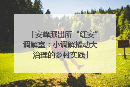 安峰派出所“红安”调解室：小调解撬动大治理的乡村实践