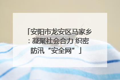 安阳市龙安区马家乡：凝聚社会合力 织密防汛“安全网”