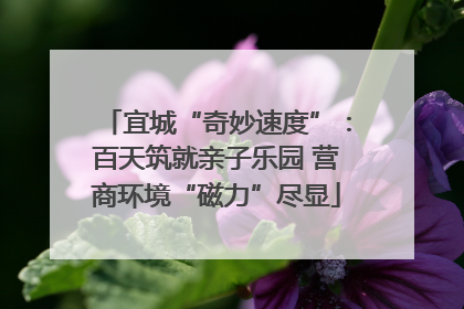 宜城“奇妙速度”：百天筑就亲子乐园 营商环境“磁力”尽显