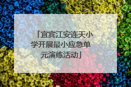 宜宾江安连天小学开展最小应急单元演练活动