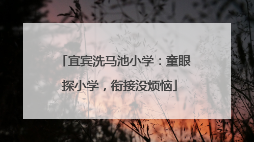 宜宾洗马池小学：童眼探小学，衔接没烦恼