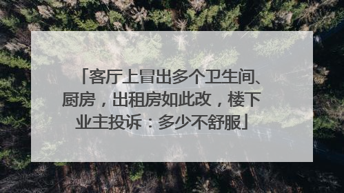 客厅上冒出多个卫生间、厨房，出租房如此改，楼下业主投诉：多少不舒服