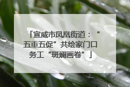 宣威市凤凰街道：“五重五促”共绘家门口务工“斑斓画卷”