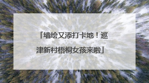 墙绘又添打卡地！巡津新村梧桐女孩来啦