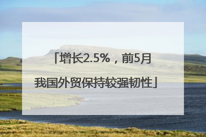 增长2.5%，前5月我国外贸保持较强韧性
