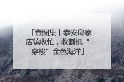 壹图集丨泰安邱家店镇收忙，收割机“穿梭”金色海洋