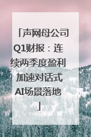 声网母公司Q1财报：连续两季度盈利 加速对话式AI场景落地