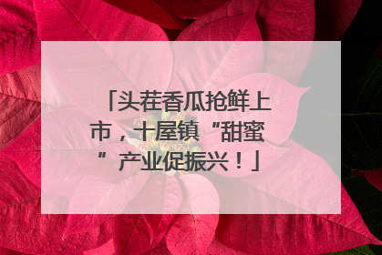 头茬香瓜抢鲜上市，十屋镇“甜蜜”产业促振兴！