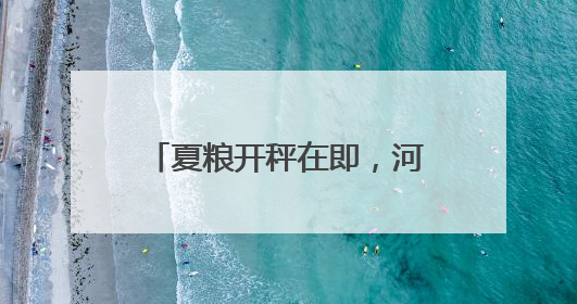 夏粮开秤在即，河北收购准备就绪