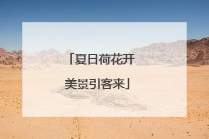 夏日荷花开 美景引客来