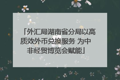 外汇局湖南省分局以高质效外币兑换服务 为中非经贸博览会赋能
