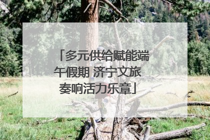 多元供给赋能端午假期 济宁文旅奏响活力乐章