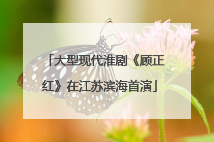 大型现代淮剧《顾正红》在江苏滨海首演