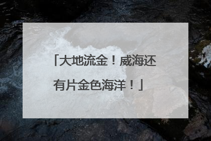 大地流金！威海还有片金色海洋！