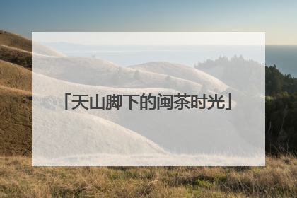 天山脚下的闽茶时光