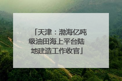 天津：渤海亿吨级油田海上平台陆地建造工作收官