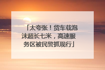 太夸张！货车载泡沫超长七米，高速服务区被民警抓现行