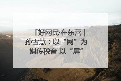 好网民·在东营｜孙雪慧：以“网”为媒传税音 以“屏”为介助发展