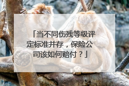 当不同伤残等级评定标准并存，保险公司该如何赔付？
