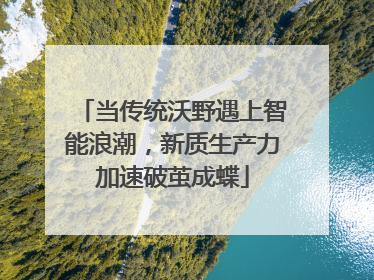 当传统沃野遇上智能浪潮，新质生产力加速破茧成蝶