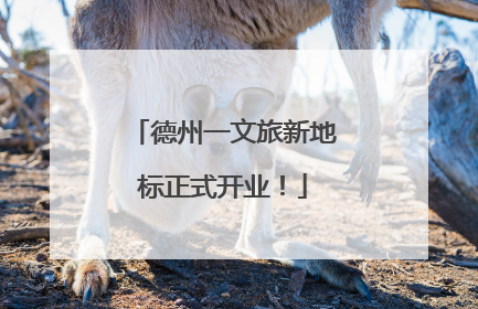 德州一文旅新地标正式开业！