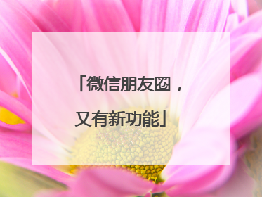 微信朋友圈，又有新功能