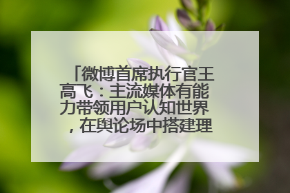 微博首席执行官王高飞：主流媒体有能力带领用户认知世界，在舆论场中搭建理性的讨论空间