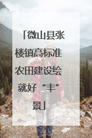 微山县张楼镇高标准农田建设绘就好“丰”景