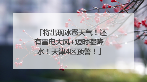将出现冰雹天气！还有雷电大风+短时强降水！天津4区预警！