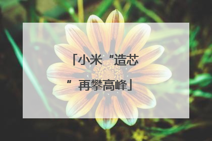 小米“造芯”再攀高峰