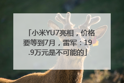 小米YU7亮相，价格要等到7月，雷军：19.9万元是不可能的